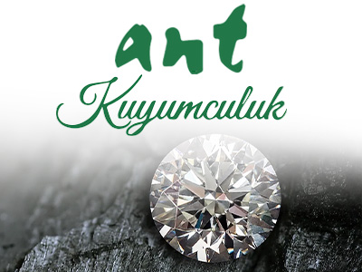 Ant Kuyumculuk — Novasta referans çalışması