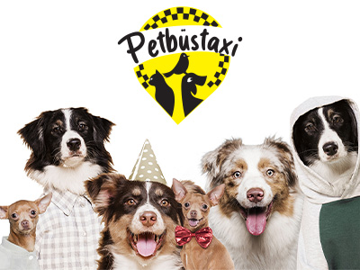 Petbüs Taxi — Novasta referans çalışması