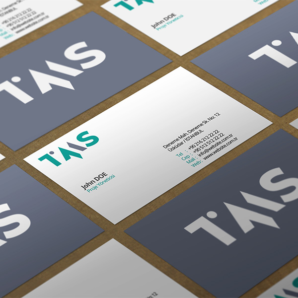 TMS Hidrolik — proje sunumu