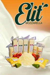 Ücretsiz E-Katalog Oluşturucu