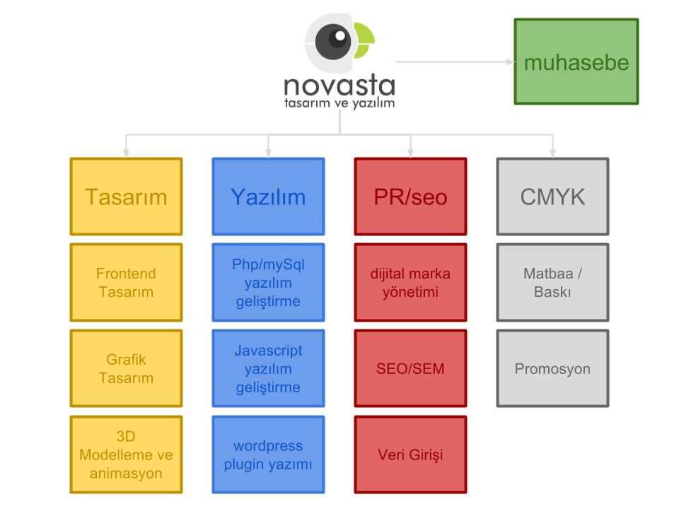 Novasta Organizasyon Şeması